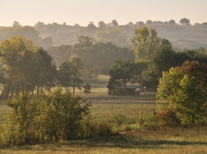 02 Bocage périgourdin au soleil d'automne